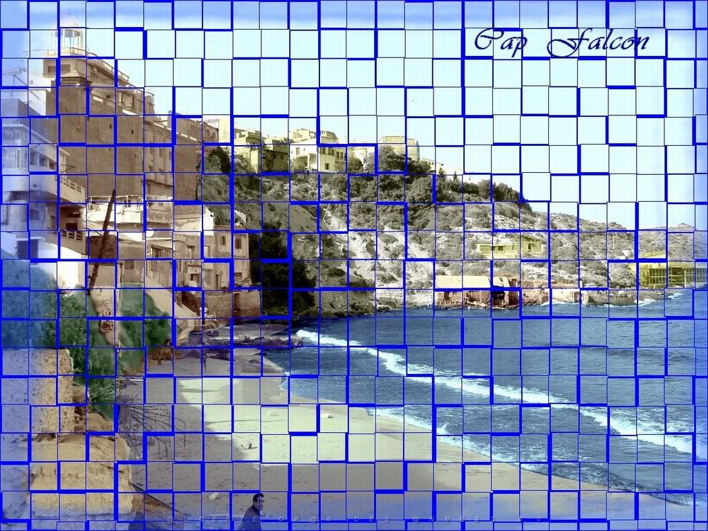 cap falcon 02 .jpg